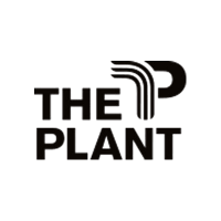 the-plant-removebg-preview